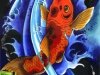 Koi swimming upstream through current